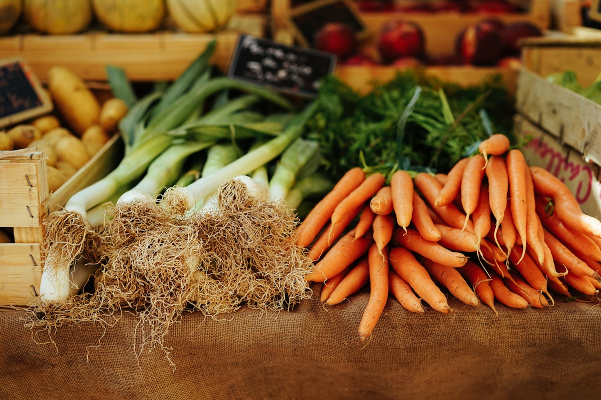 Professionelle Ernährungsplanung für bessere Gesundheit